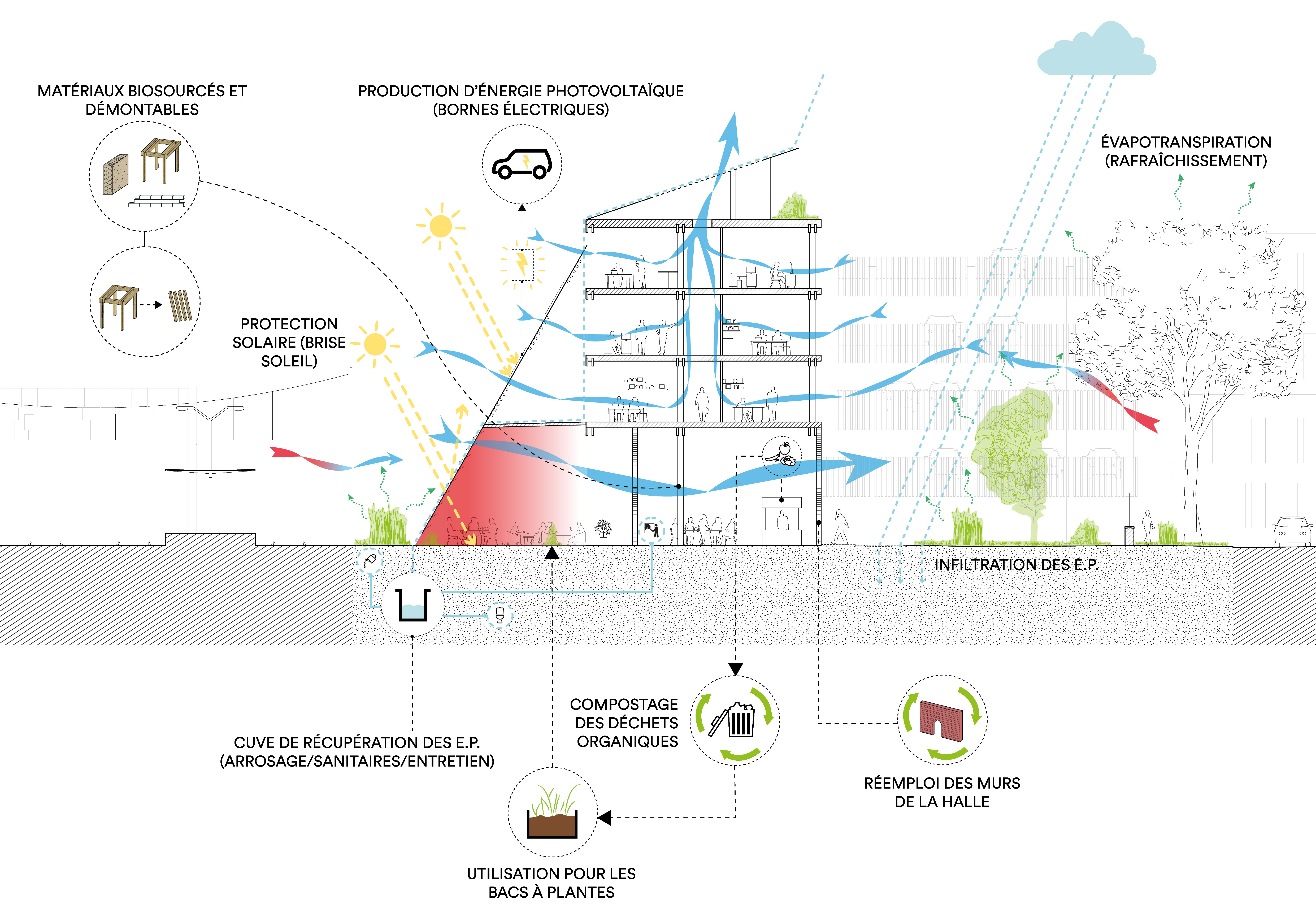 Halle Sernam - Diagnostic Bioclimatique